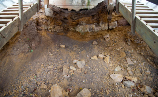 9_Papilės atodanga.jpg